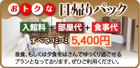 日帰りパック